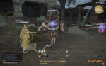 Final Fantasy XIV: A Realm Reborn - That's one big "Horny Toad"